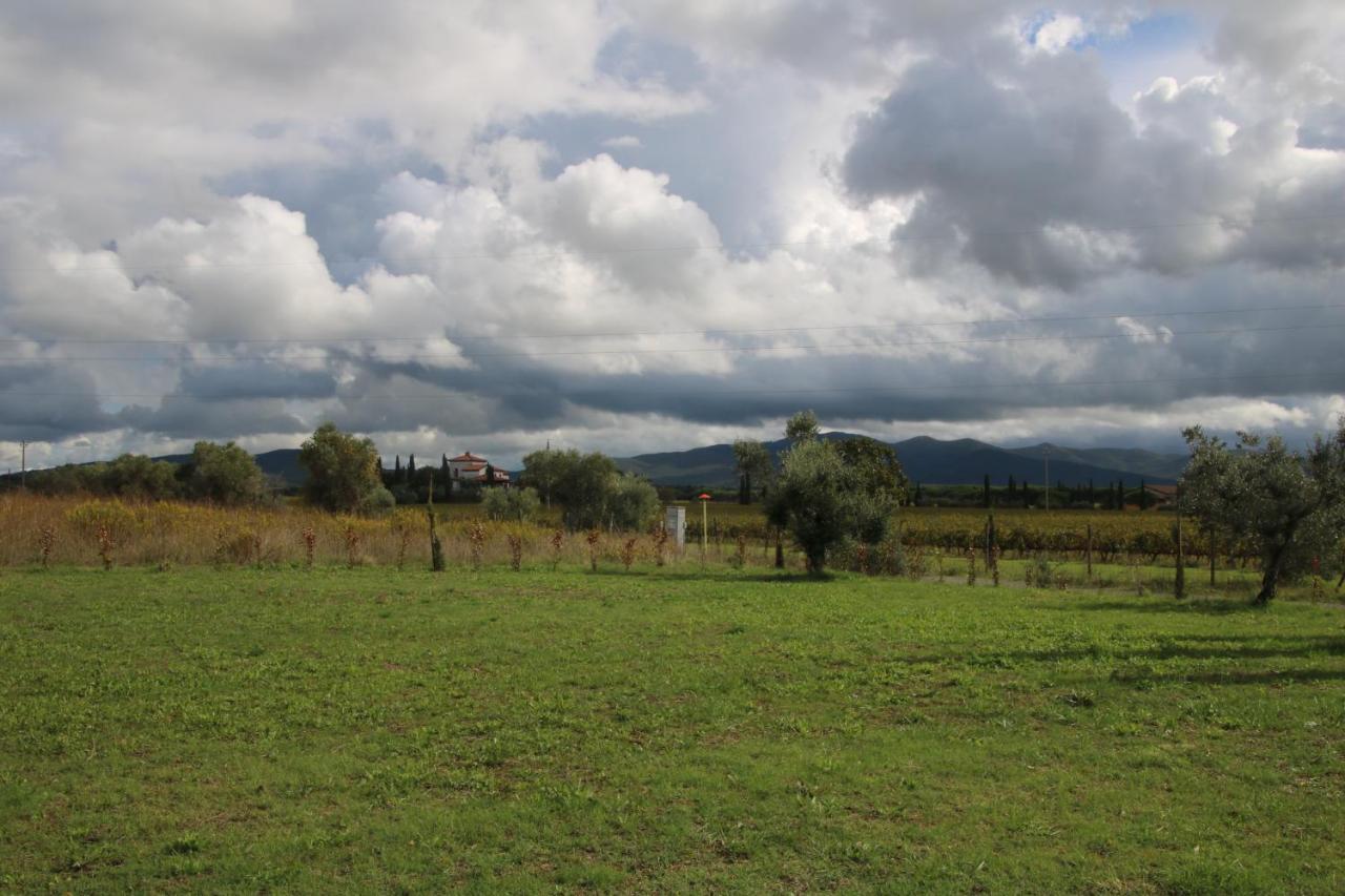 Podere Campo Alle Serpi Бибона Екстериор снимка