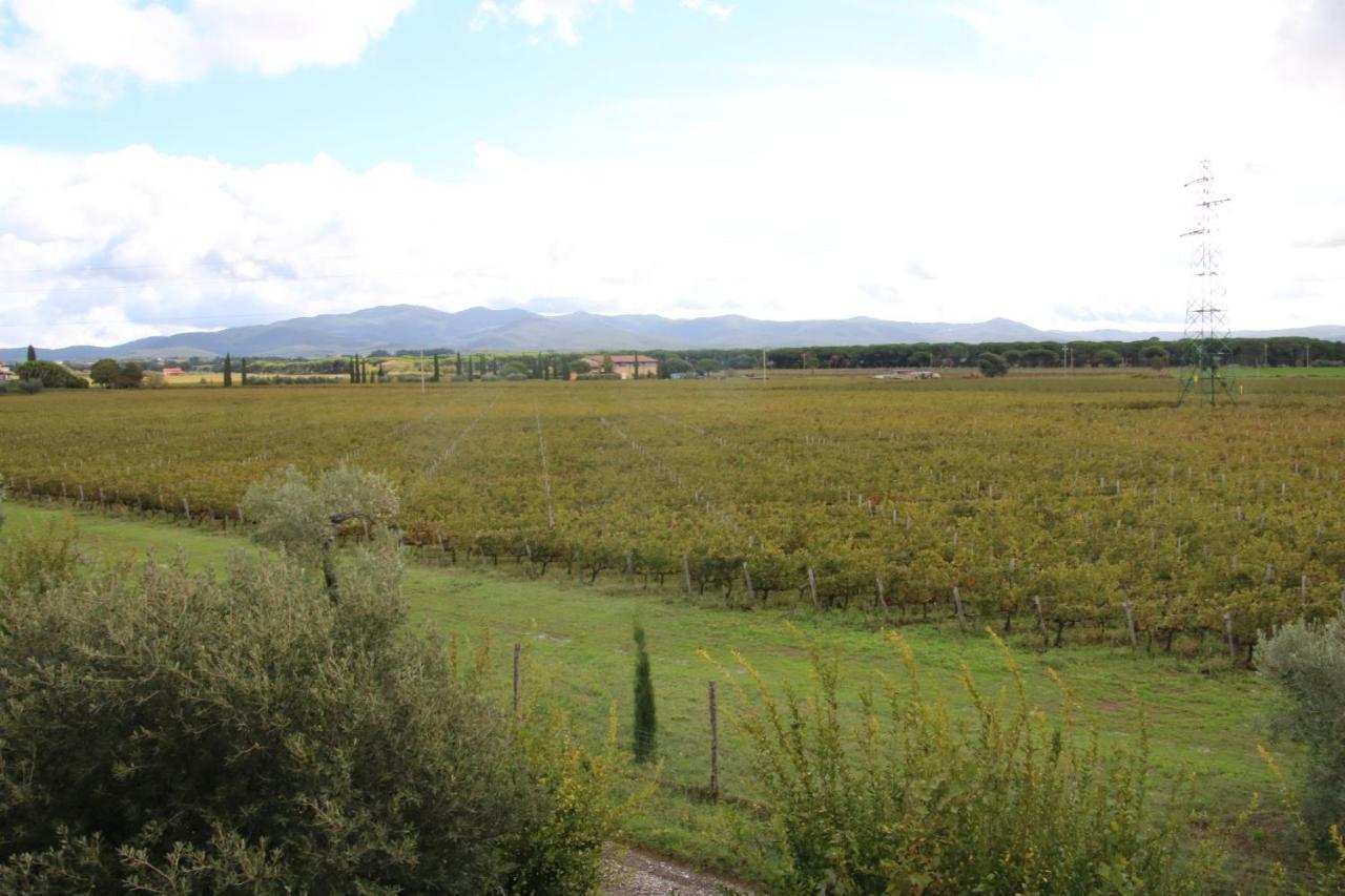 Podere Campo Alle Serpi Бибона Екстериор снимка