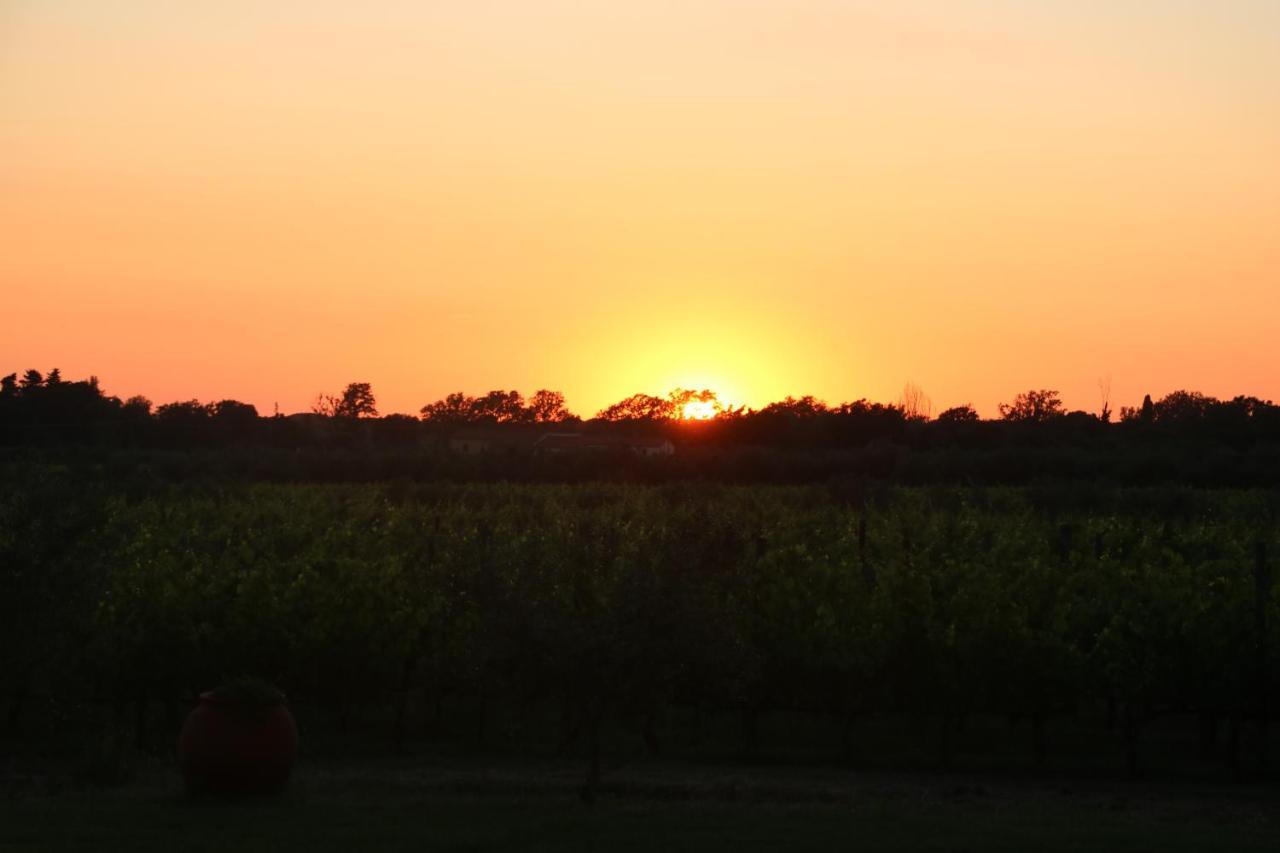 Podere Campo Alle Serpi Бибона Екстериор снимка