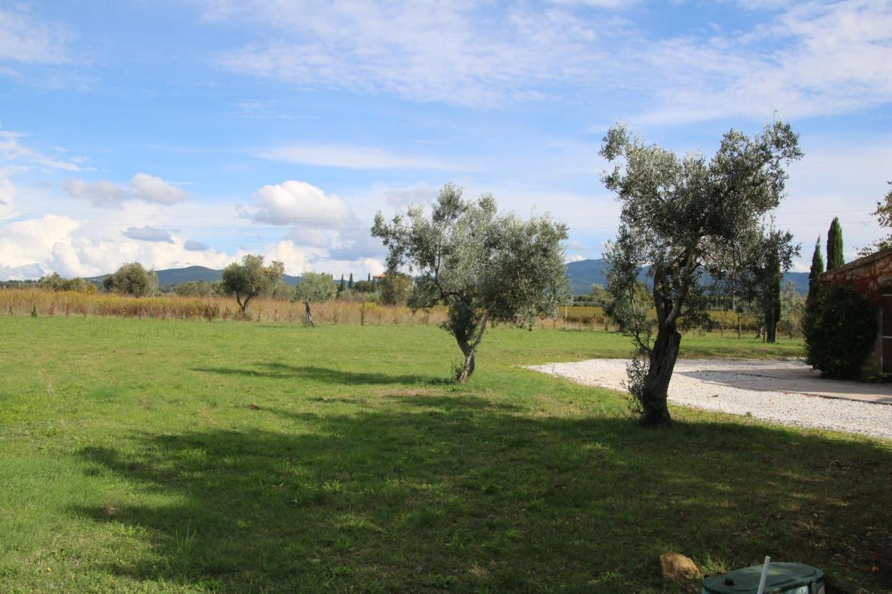Podere Campo Alle Serpi Бибона Екстериор снимка