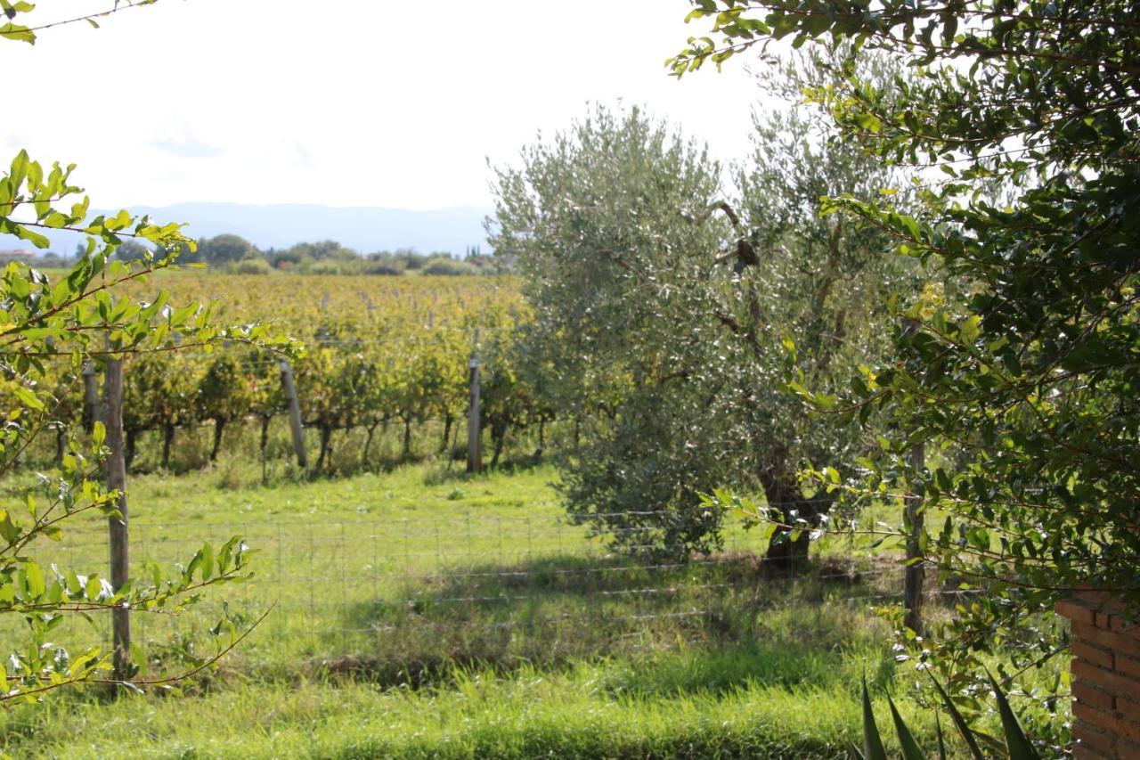 Podere Campo Alle Serpi Бибона Екстериор снимка
