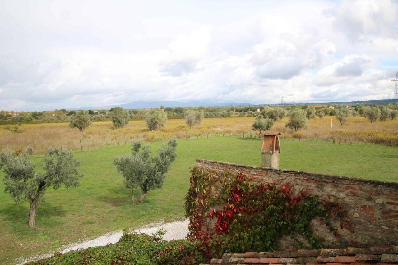 Podere Campo Alle Serpi Бибона Екстериор снимка