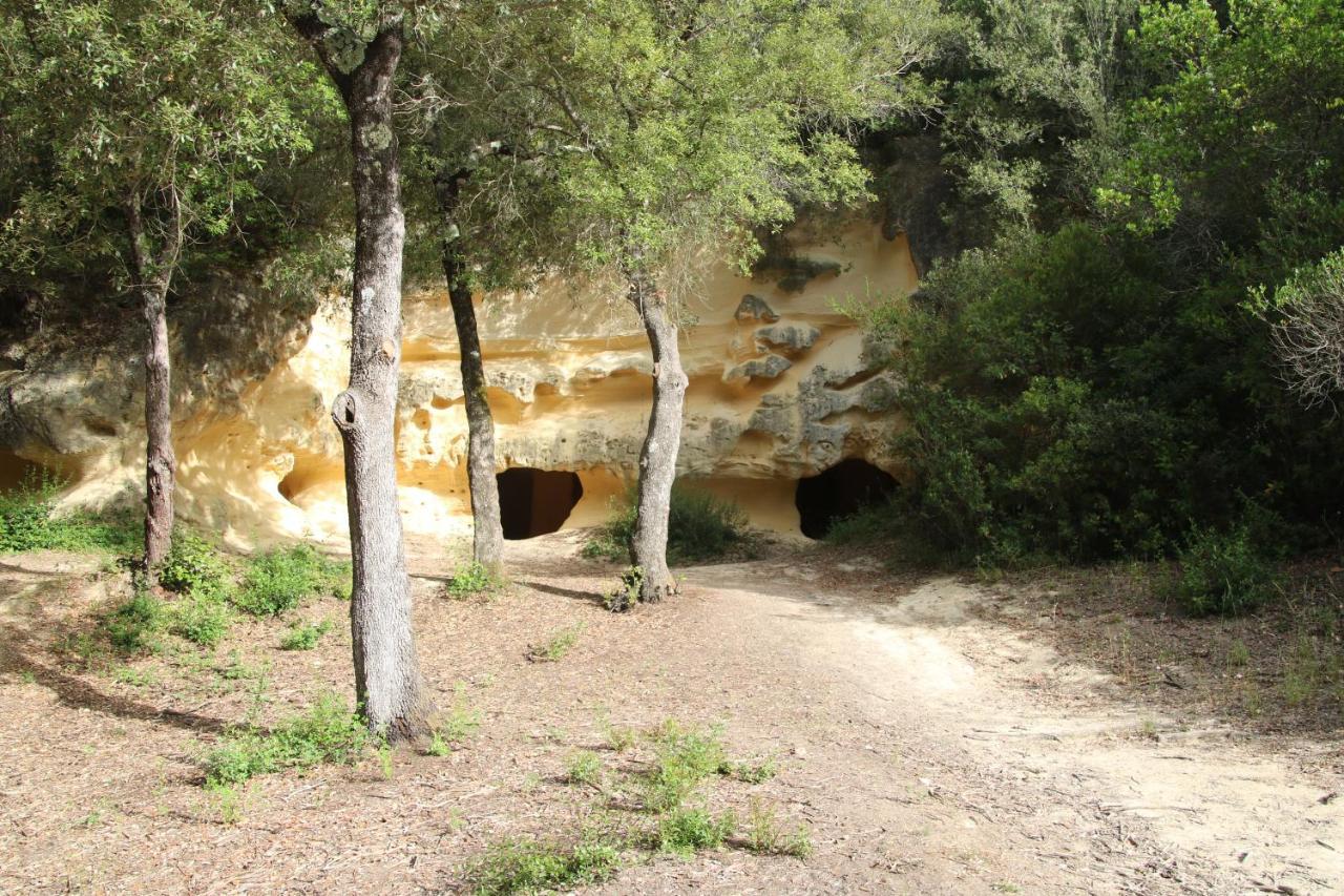 Podere Campo Alle Serpi Бибона Екстериор снимка