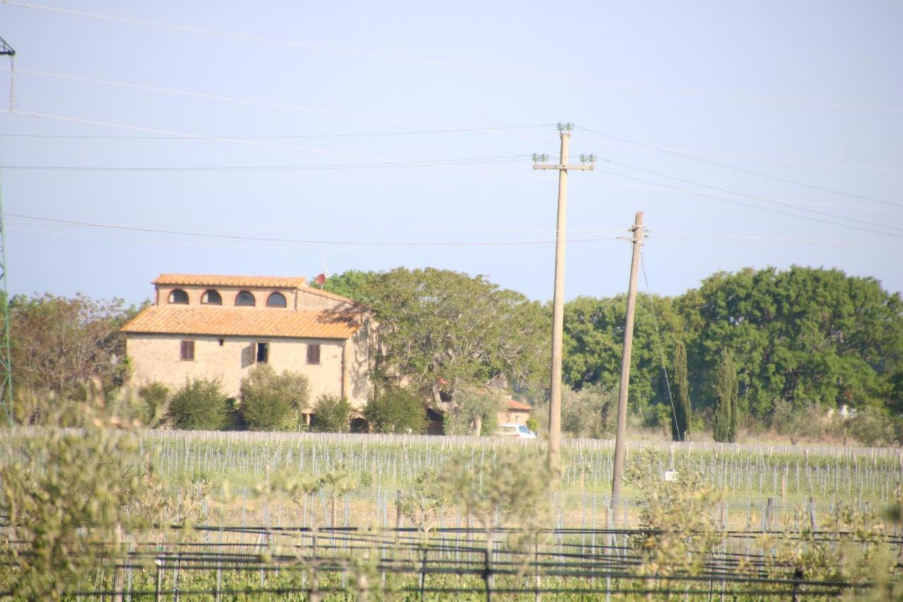 Podere Campo Alle Serpi Бибона Екстериор снимка
