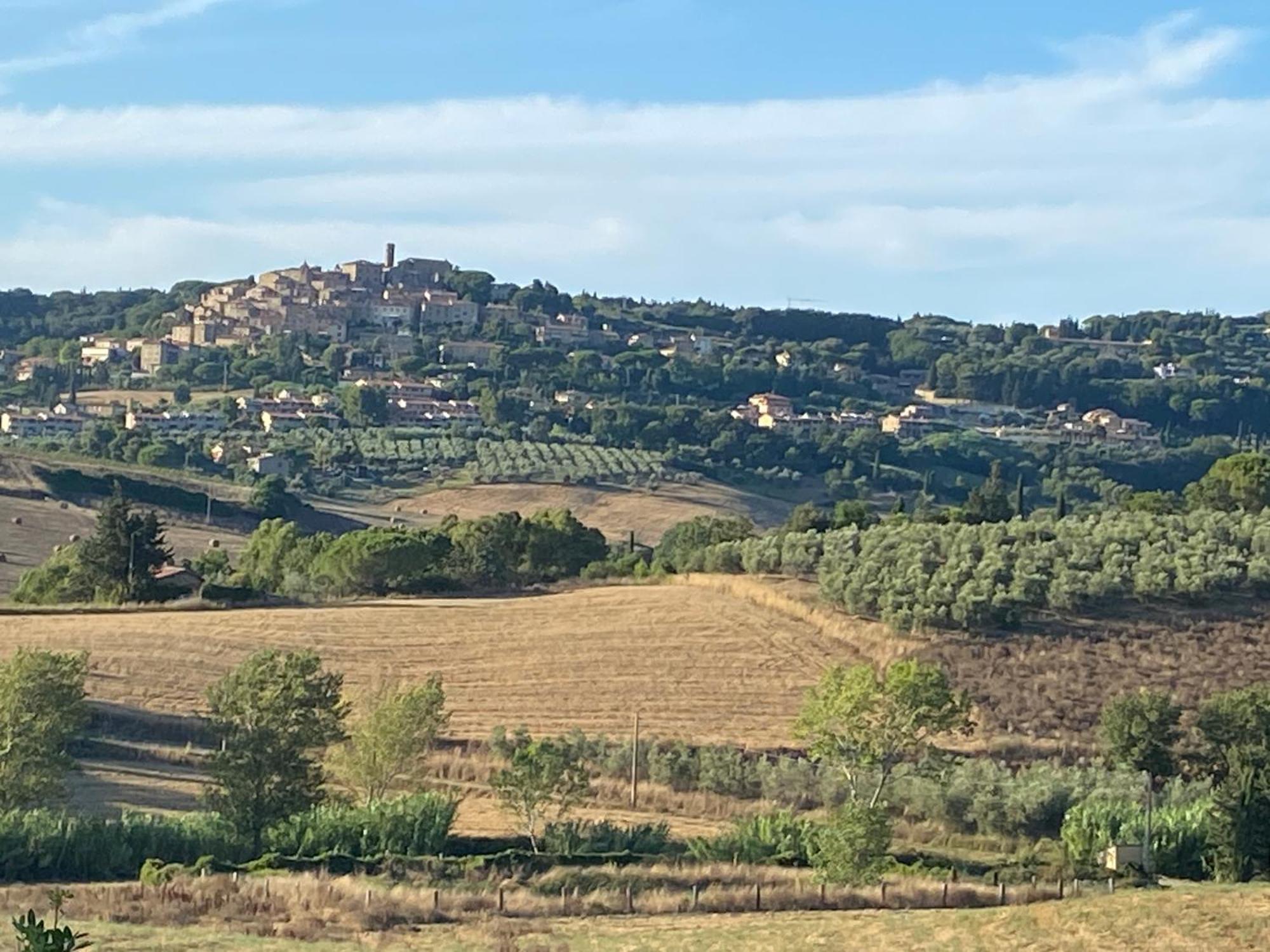 Podere Campo Alle Serpi Бибона Екстериор снимка