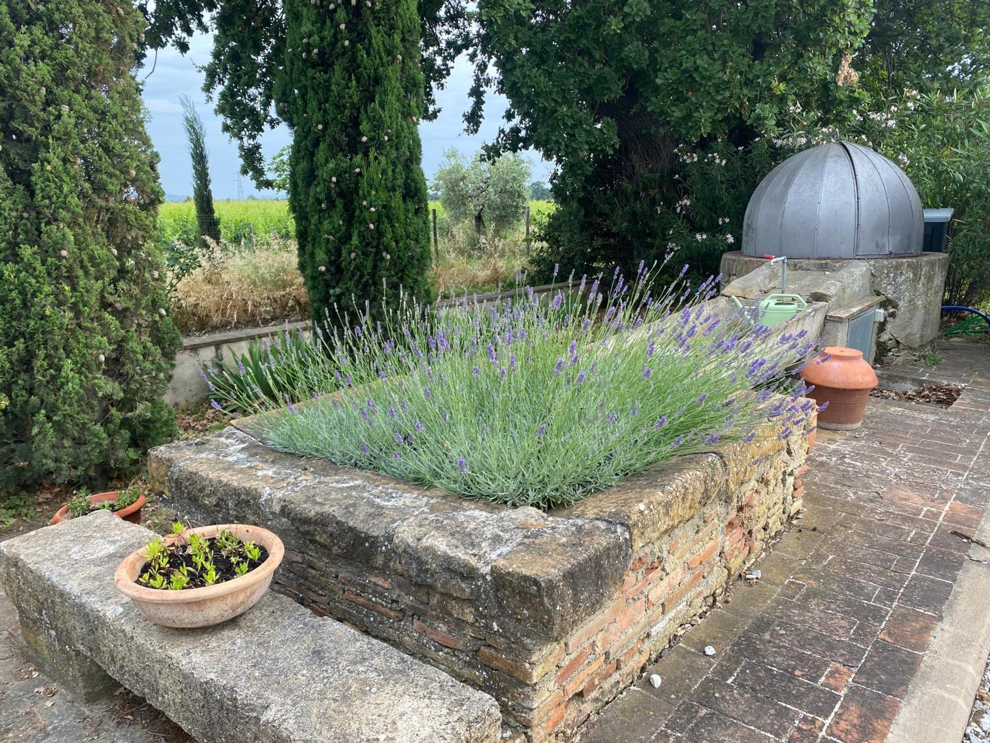 Podere Campo Alle Serpi Бибона Екстериор снимка