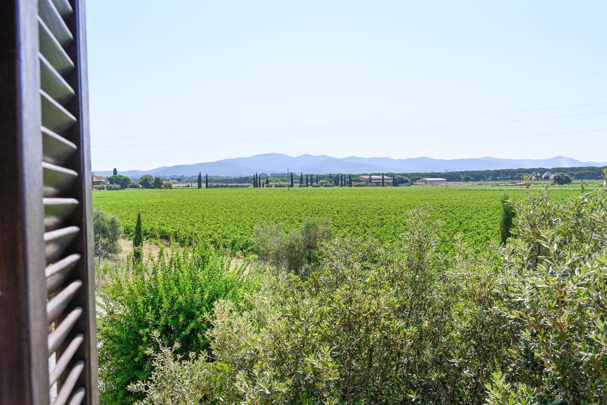 Podere Campo Alle Serpi Бибона Стая снимка