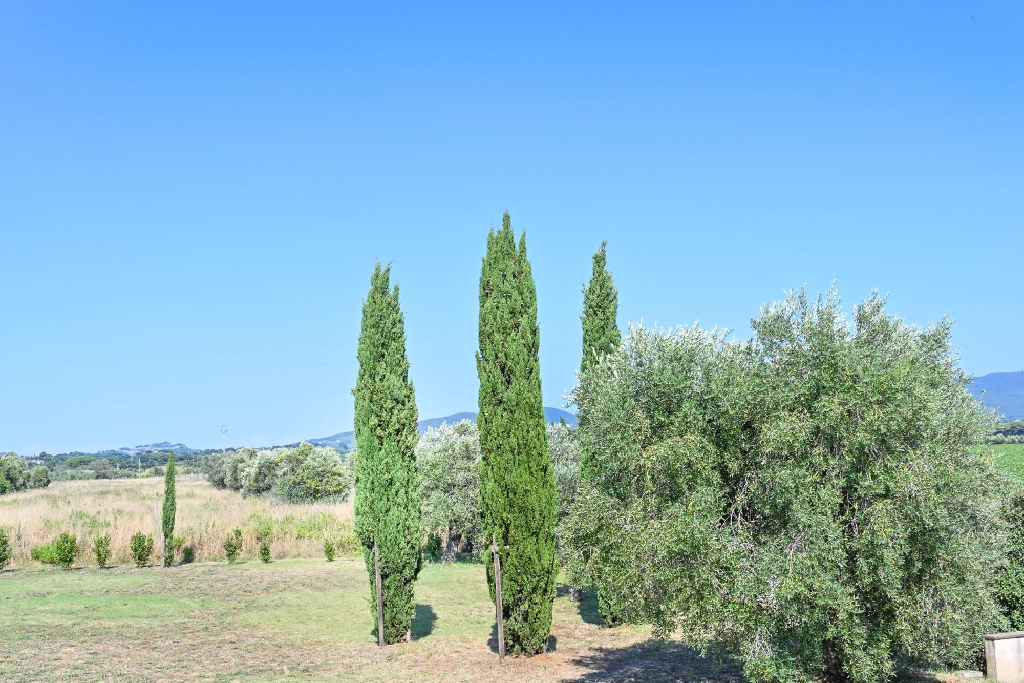 Podere Campo Alle Serpi Бибона Стая снимка