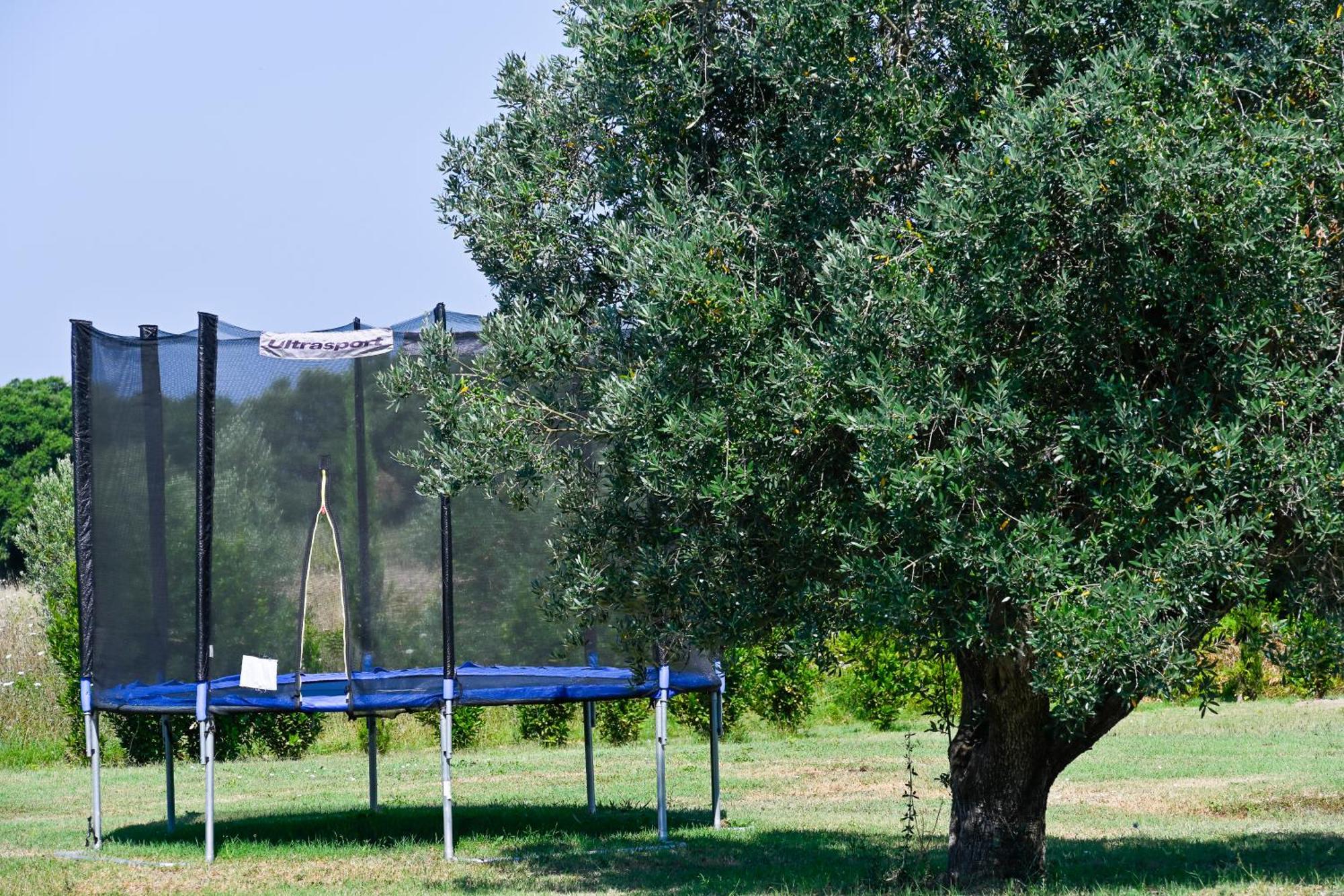 Podere Campo Alle Serpi Бибона Екстериор снимка