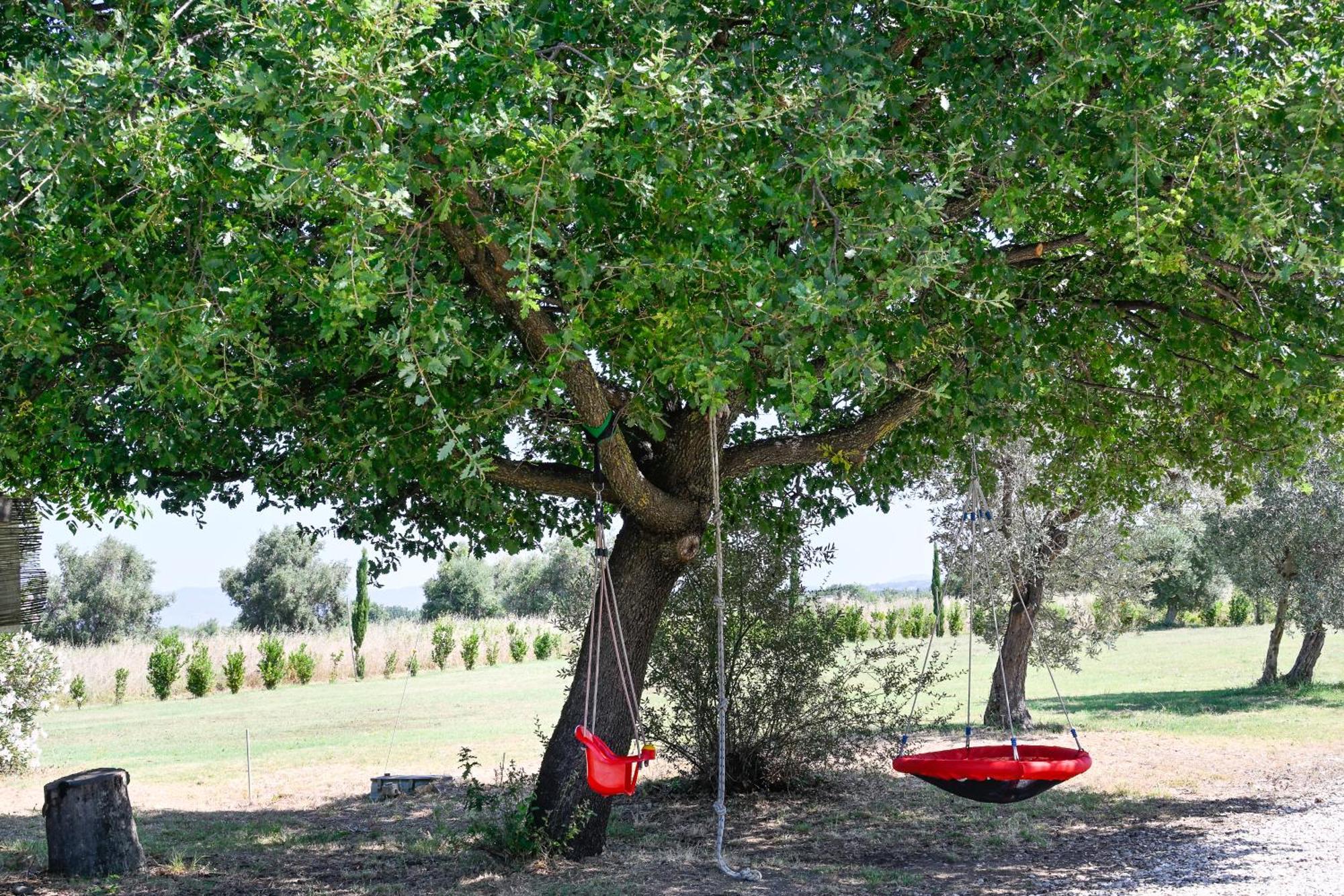 Podere Campo Alle Serpi Бибона Екстериор снимка